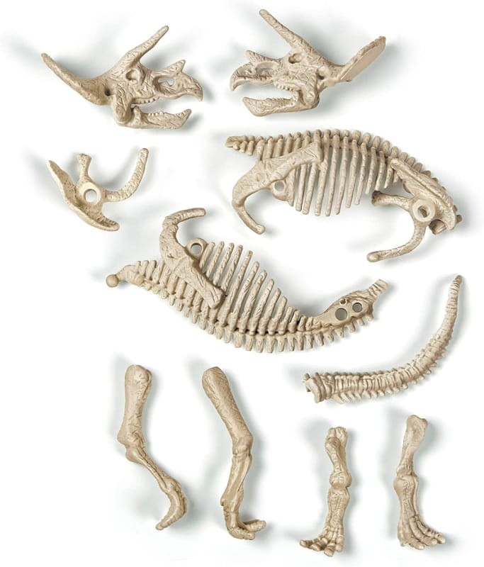 dinozaur.jpeg