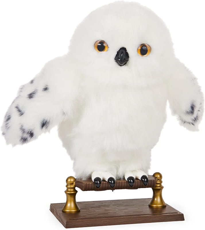 hedwiga.jpeg