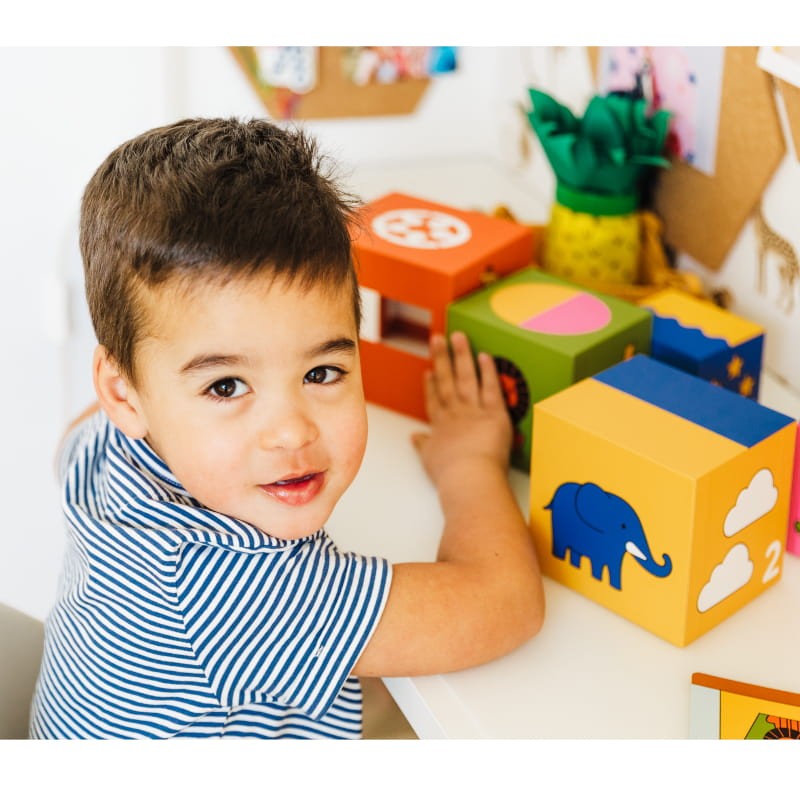 akuku-zoo-smart-games-gra-zestaw-akcesoria-dodatki.jpg