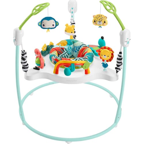 fisher-price-jumperoo-baby-activity-music-baby-bouncer.jpg