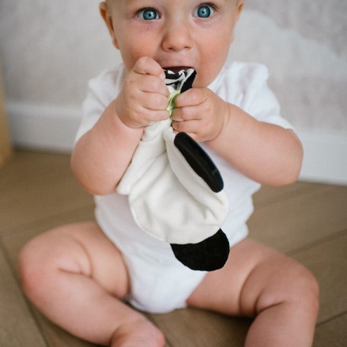 1558-szelescik-panda-babyono-zestaw-akcesoria.jpg