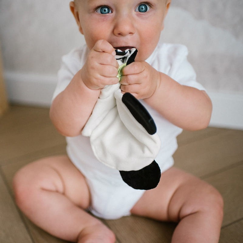 1558-szelescik-panda-babyono-zestaw-akcesoria.jpg