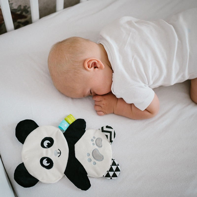 1558-szelescik-panda-polly-zestaw-akcesoria.jpg