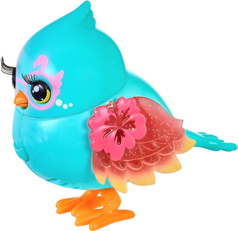 lil bird.jpeg