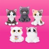 9568A_Pets Alive_Smitten Kittens S2_Ecom ALT Image 3_800.jpg