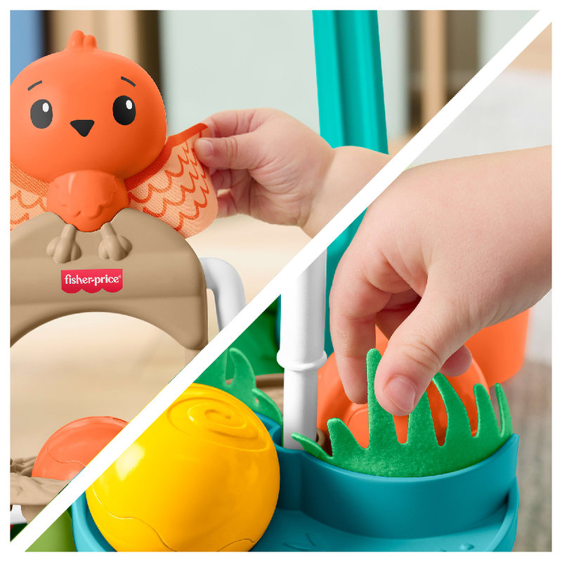 pol_pl_Fisher-Price-Aktywizujacy-Zolw-Chodzik-Pchacz-2-w-1-42147_3.jpg