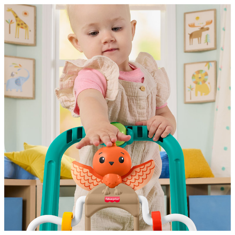 pol_pl_Fisher-Price-Aktywizujacy-Zolw-Chodzik-Pchacz-2-w-1-42147_7.jpg