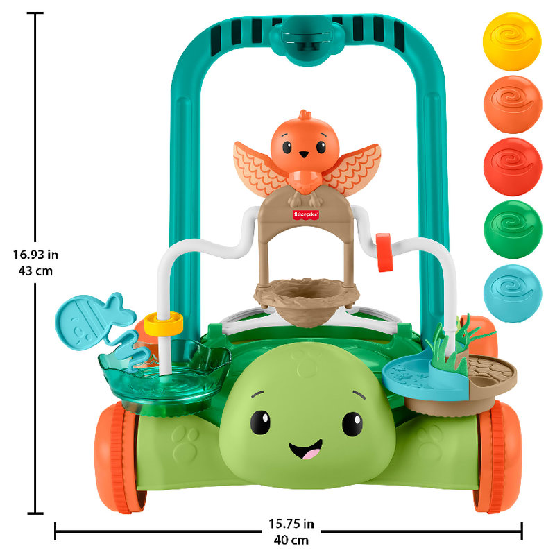 pol_pl_Fisher-Price-Aktywizujacy-Zolw-Chodzik-Pchacz-2-w-1-42147_8.jpg