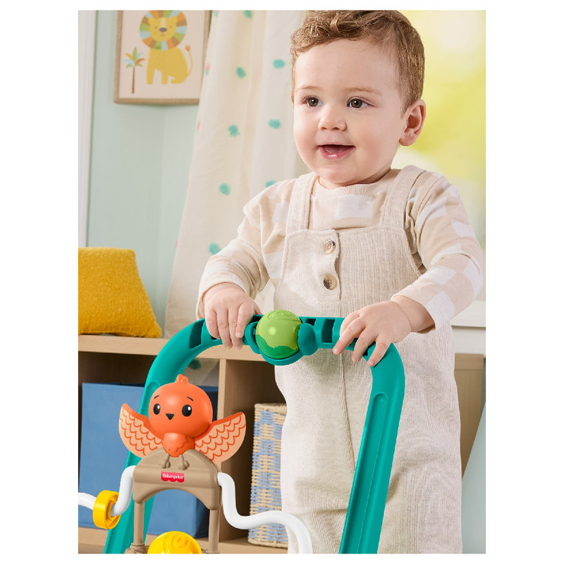 pol_pl_Fisher-Price-Aktywizujacy-Zolw-Chodzik-Pchacz-2-w-1-42147_1.jpg