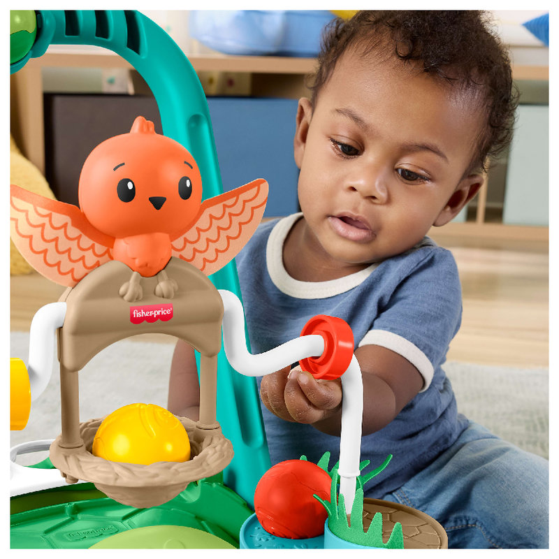 pol_pl_Fisher-Price-Aktywizujacy-Zolw-Chodzik-Pchacz-2-w-1-42147_2.jpg