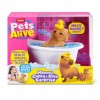 Allegro_18877629505_3.jpg