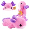 hug-a-lumps-aksolotl-ally-widoki-zestaw.jpg