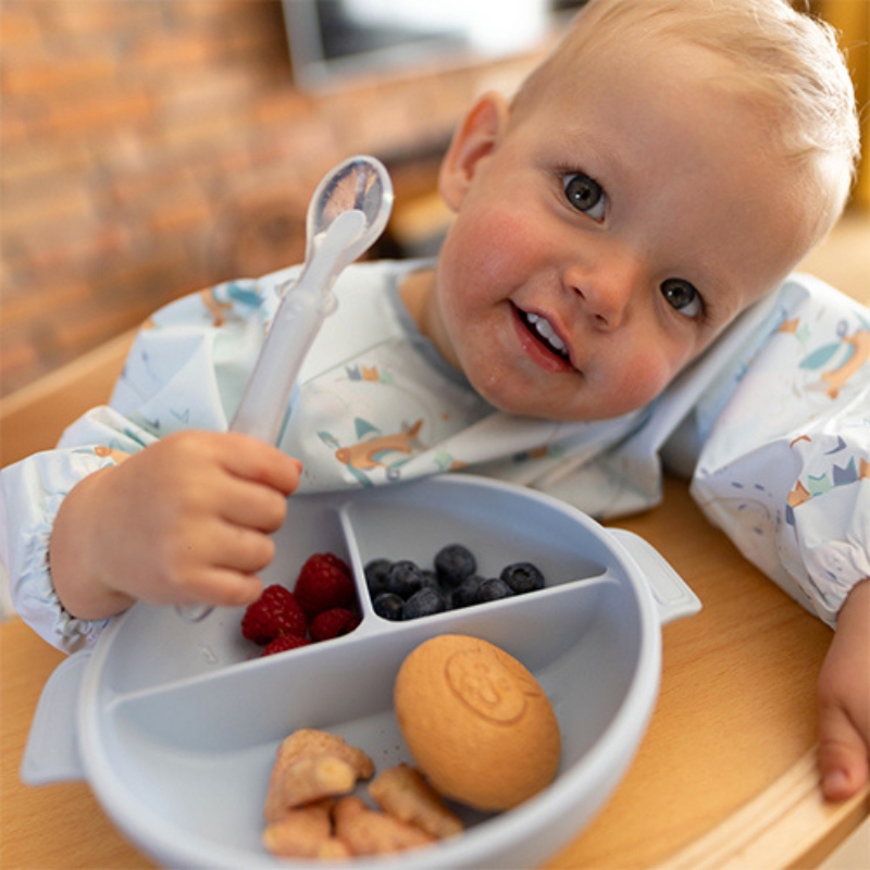 Babyono Silikonowy Talerzyk Dla Dzieci Talerz Z Przyssawką I Przykrywką