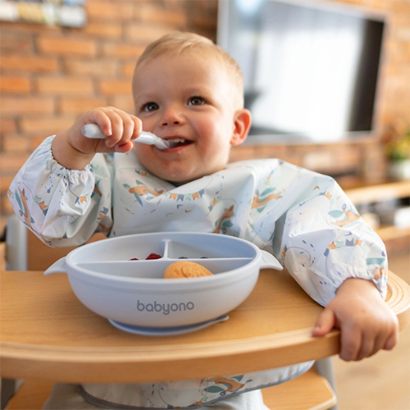 Babyono Silikonowy Talerzyk Dla Dzieci Talerz Z Przyssawką I Przykrywką