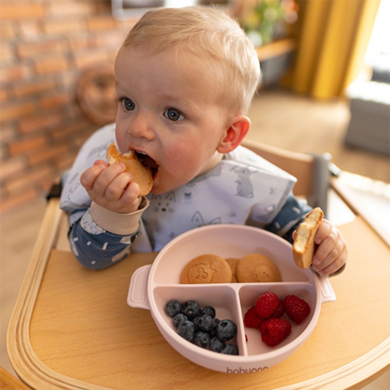 Babyono Silikonowy Talerzyk Dla Dzieci Talerz Z Przyssawką I Przykrywką