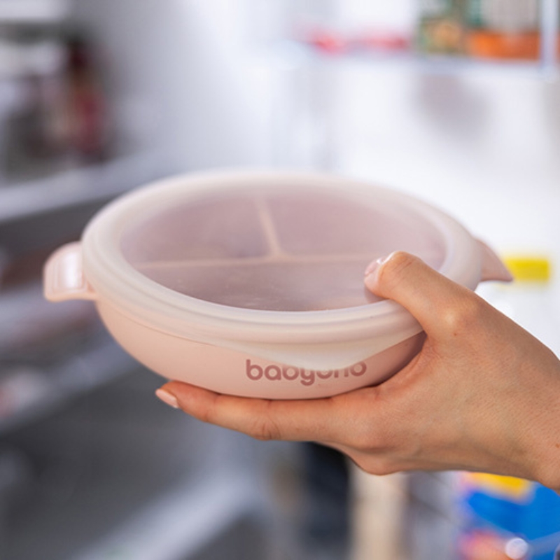Babyono Silikonowy Talerzyk Dla Dzieci Talerz Z Przyssawką I Przykrywką
