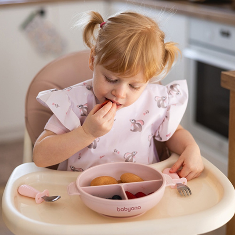Babyono Silikonowy Talerzyk Dla Dzieci Talerz Z Przyssawką I Przykrywką