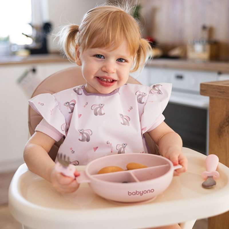 Babyono Silikonowy Talerzyk Dla Dzieci Talerz Z Przyssawką I Przykrywką