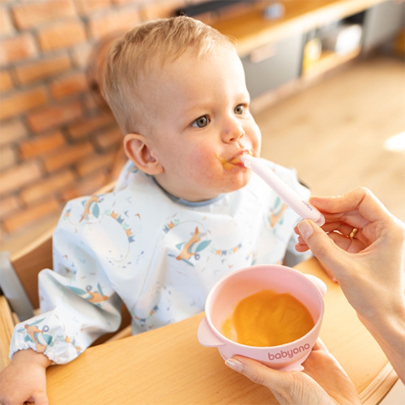 Babyono Silikonowa Miseczka Miska Dla Dzieci Z Przyssawką I Przykrywką