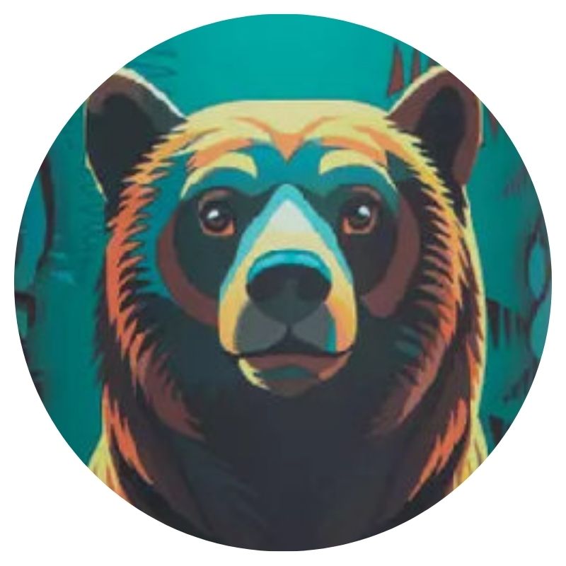 Bidon Coolpack Bear Butelka Na Wodę 400ML Do Szkoły Dla Dzieci Na Napoje Bez BPA