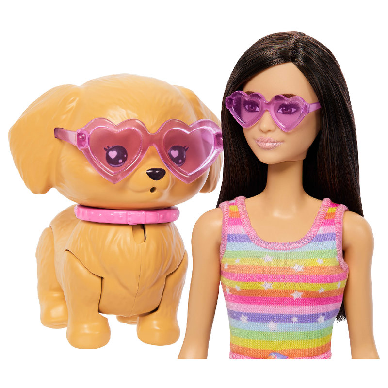 Zestaw Barbie Pets Piesek Na Wrotkach z Akcesoriami Lalka Modowa Dla Dzieci 3+