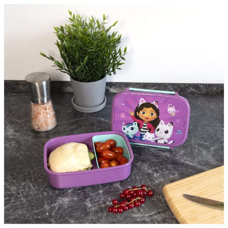 Śniadaniówka Z Przegródką Pojemnik Dla Dziecka Lunchbox Do Szkoły Dla Dzieci Koci Domek Gabi
